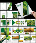 绿色水稻农田农产品农业种植画册