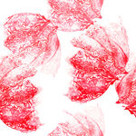 水彩红珊瑚图案