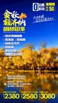 胡杨林海报