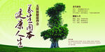 古榕树