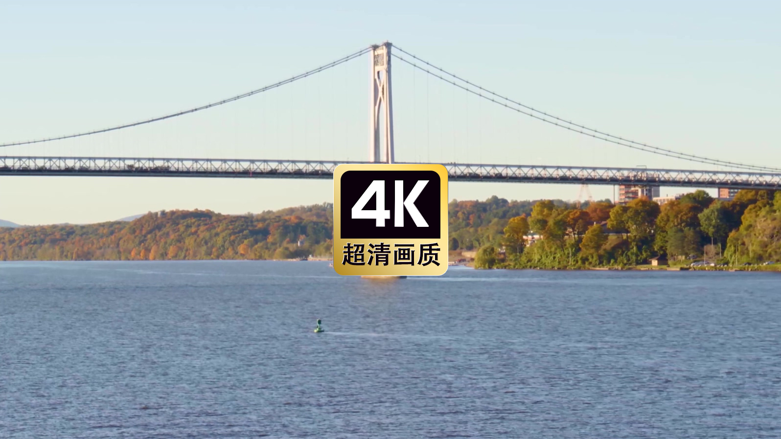 航拍跨海大桥上的车流