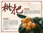 富硒枇杷