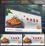 虫草