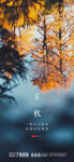 立秋