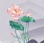 荷花装饰画 