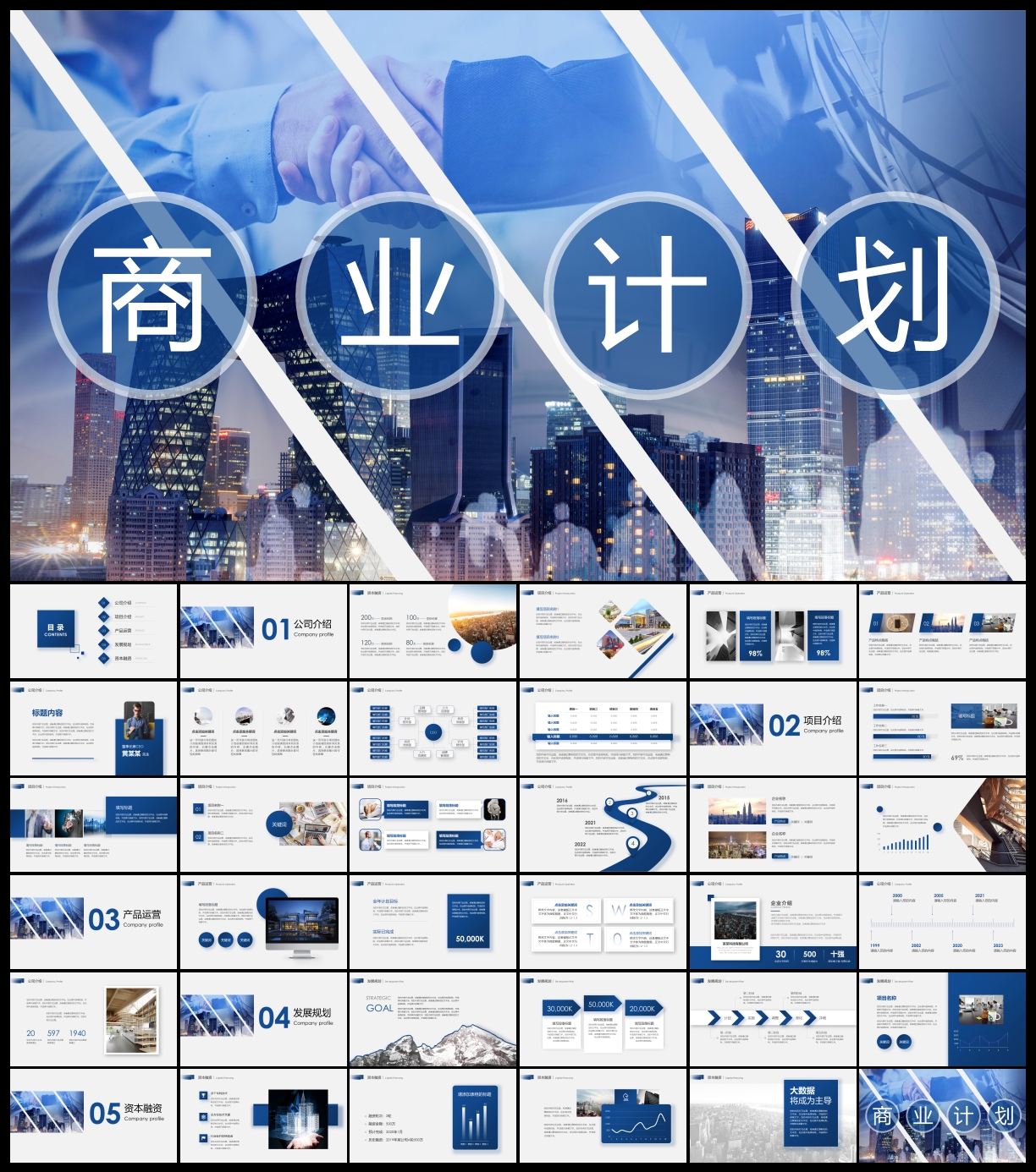 商业项目计划书PPT