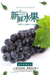 葡萄海报 