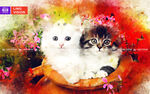 猫