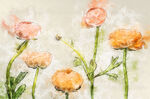 花朵手绘素描插画装饰画