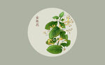 金银花插画