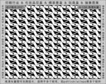 折光纹 逆向纹 纹路 线条纹 