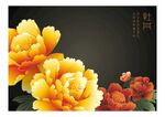 牡丹