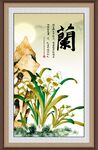 兰花