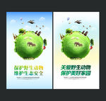 保护野生动物