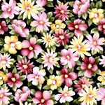 花朵 数码印花