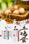 土鸡蛋