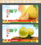 柚子海报