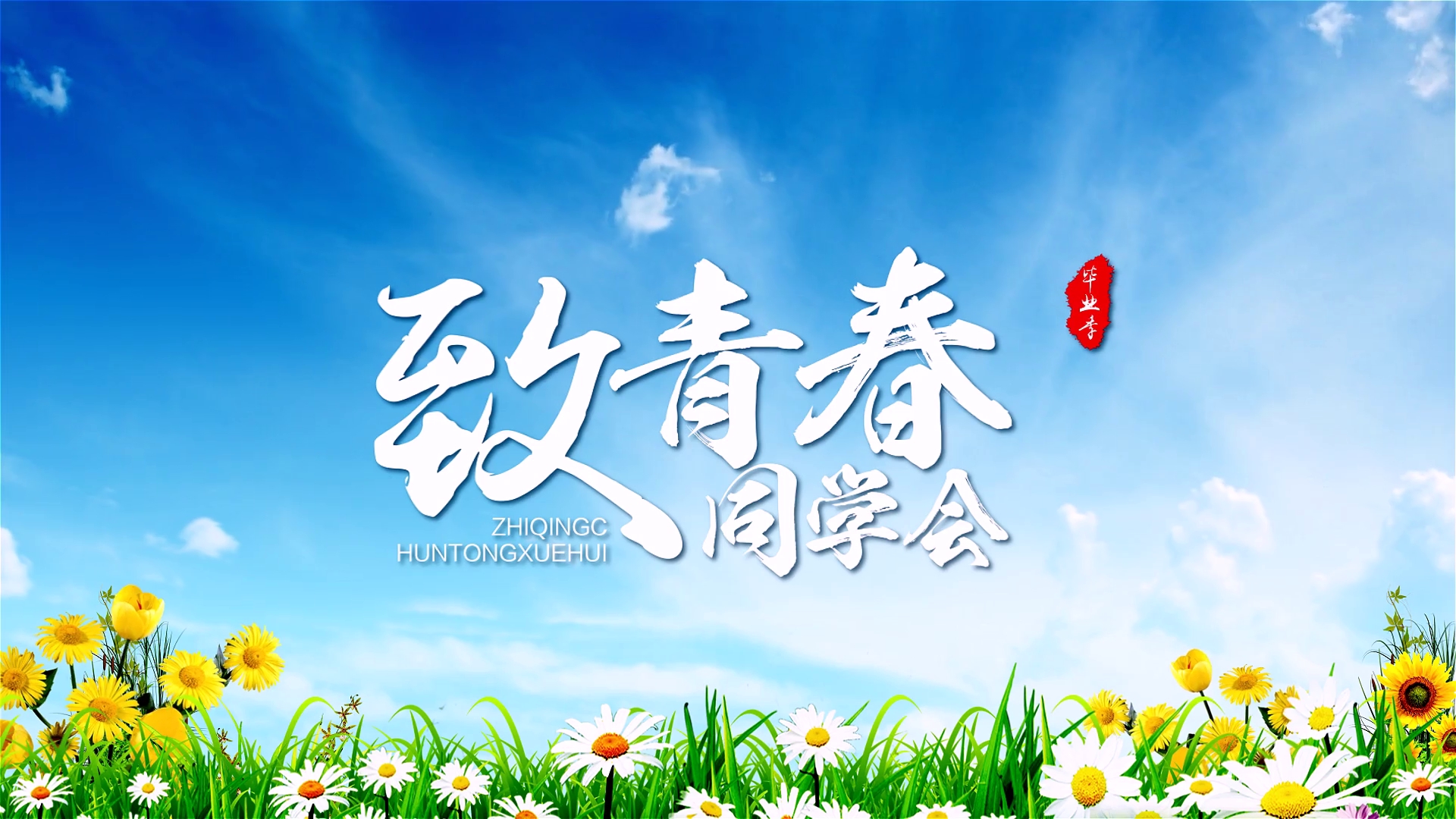 唯美文字致青春