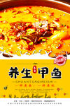 甲鱼汤