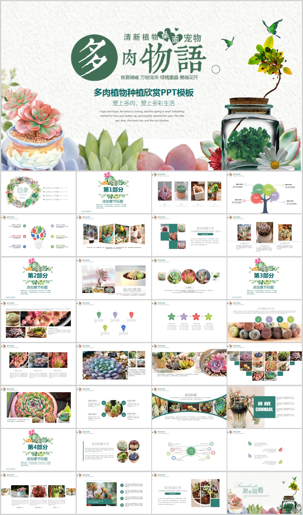 绿色多肉植物养殖绿色欣赏PPT