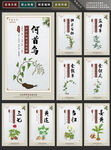中医药草