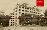 火炬学院