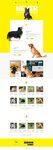 宠物类网站设计企业站设计 