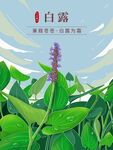 白露插画