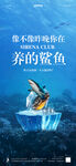 养鲨鱼