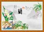 兰花