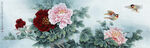 高清牡丹花