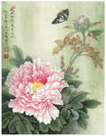 古代牡丹花图片