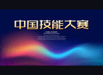 中国技能大赛
