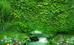 爬墙虎绿植背景墙