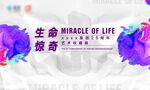 艺术展主视觉