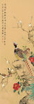 古典花鸟鱼虫锦鸡中式装饰画