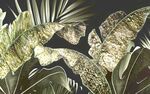 热带植物装饰画