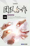 团队