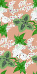 大牌花型