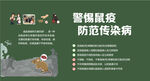 警惕鼠疫 防范传染病