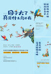 鹦鹉 鸟