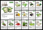 绿色特色农产品蔬菜