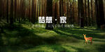 森林树林绿色海报背景原生态