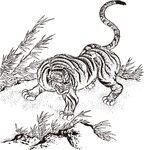 手绘 矢量 老虎