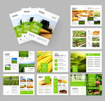 ????农业画册 农产品宣传册
