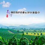 广西农业海报