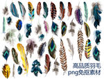高品质羽毛