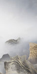 大气 玄关意境山水 TIF分层