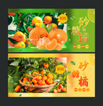 砂糖桔