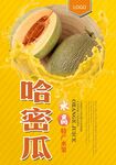 哈密瓜